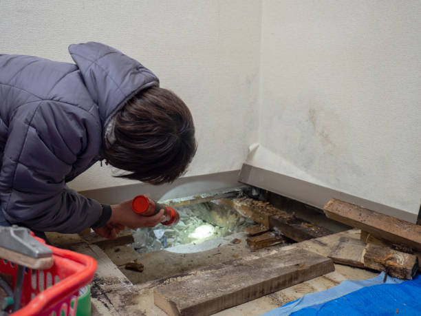 Mold Documentation for Insurance Claims in Woodlake, CA